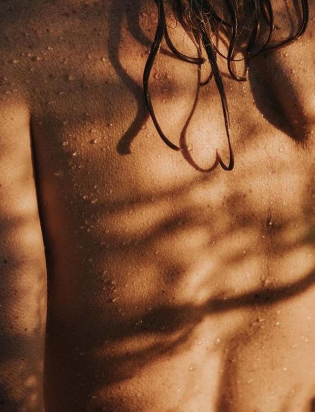 alimentatuplacer-servicios